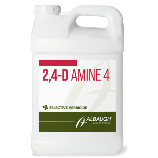 White container of 2,4-D Amine 4 herbicide with Albaugh branding on a white background