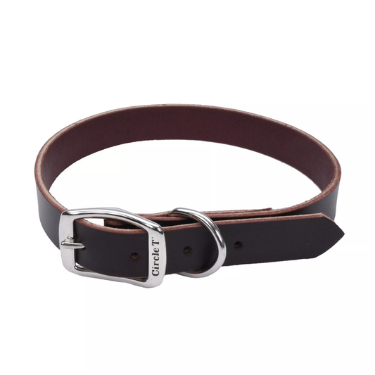 Brown leather belt with silver buckle on a white background