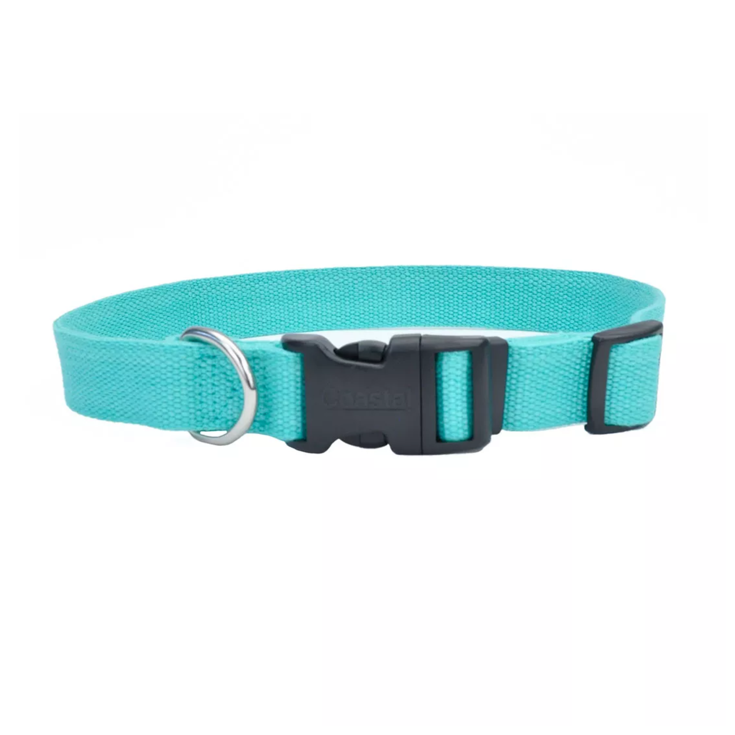 Turquoise dog collar with a black buckle on a white background