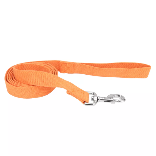 Orange dog leash with a silver clip on a white background