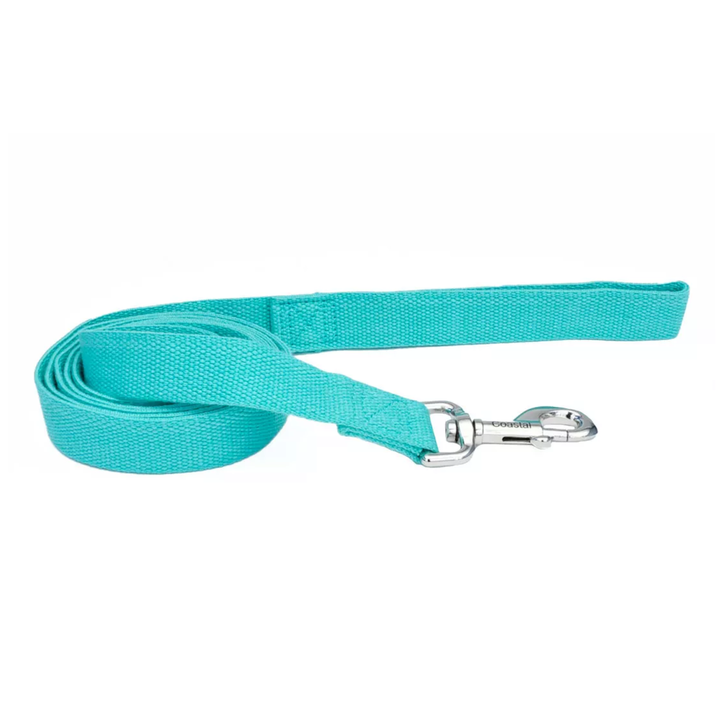 Turquoise dog leash with a silver clip on a white background