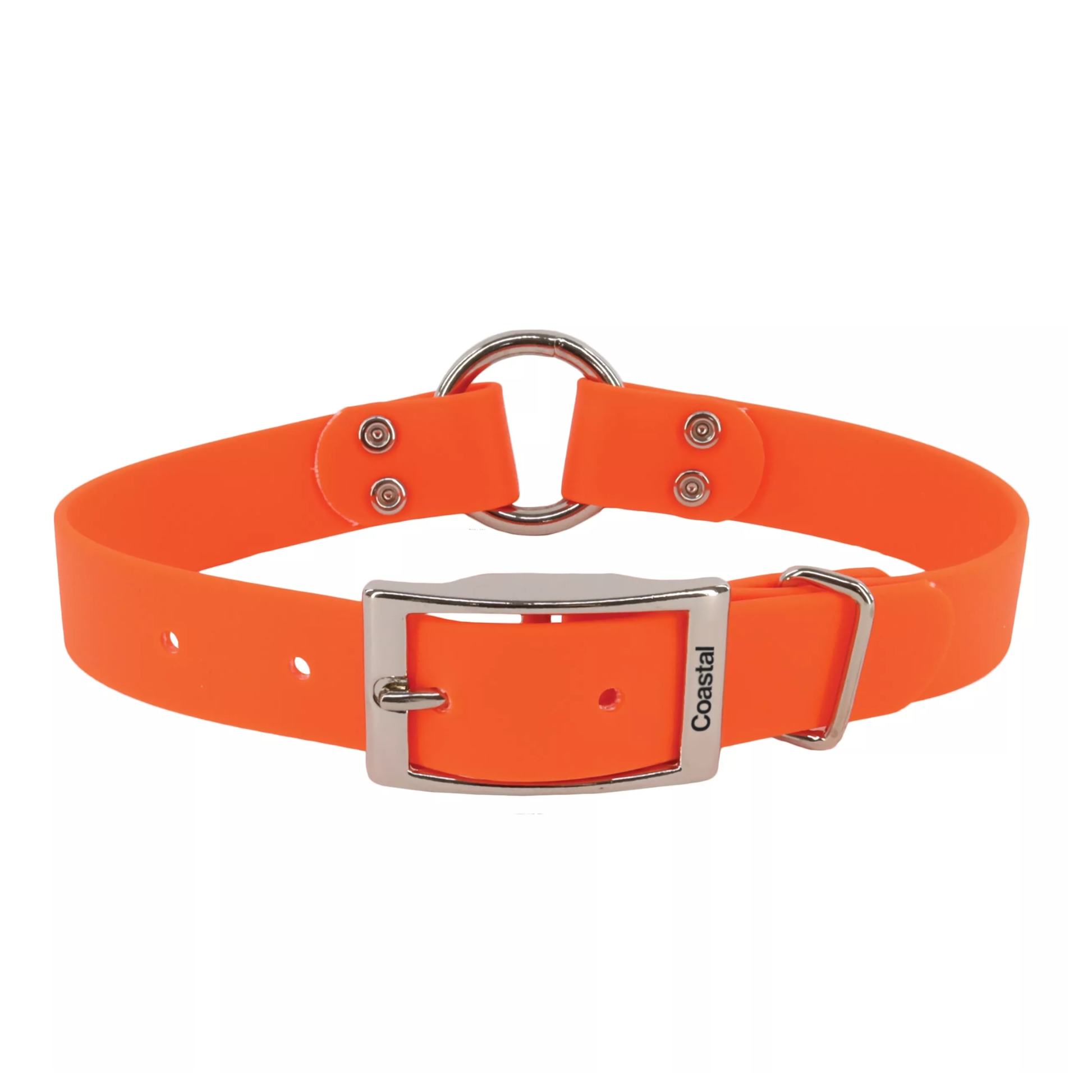 Orange dog collar with silver buckle on a white background