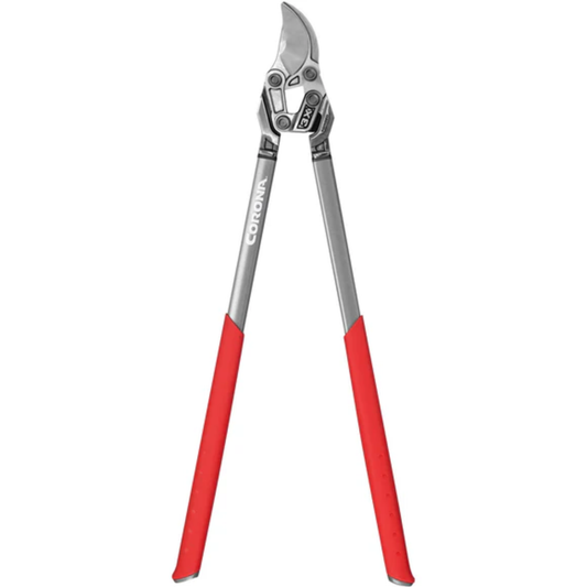 Gardening pruner with red handles on a white background