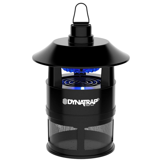 A black lantern on a white background.