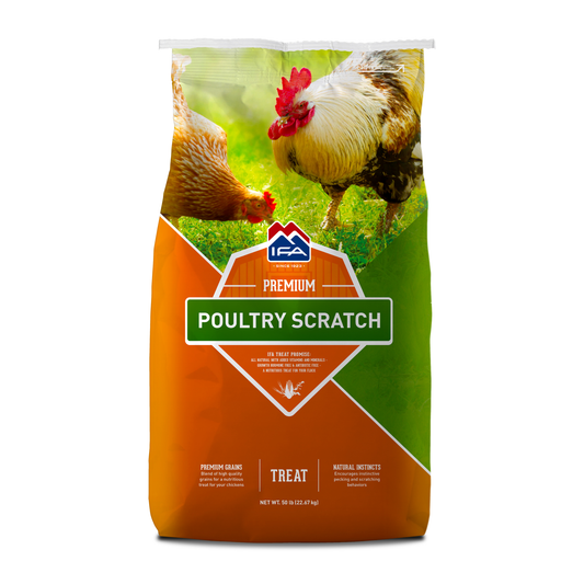 Bag of IFA Premium Poultry Scratch with chickens on a grassy background
