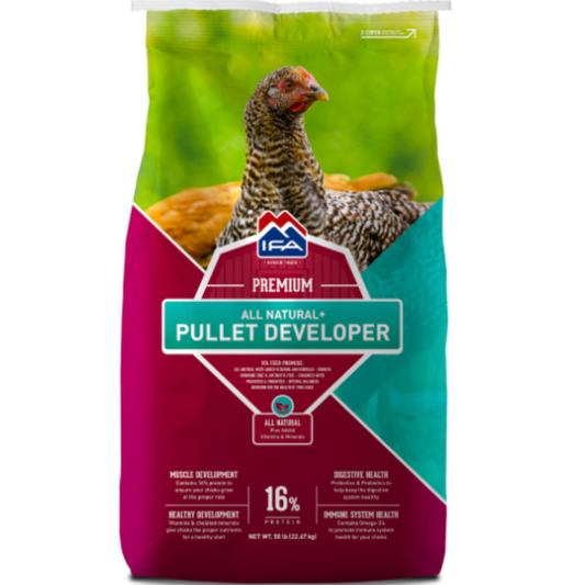 Bag of IFA Premium All Natural Pullet Developer with chicken image on a white background