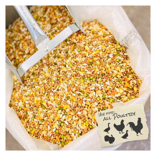 Bag of mixed poultry feed with a label indicating it is for all poultry.
