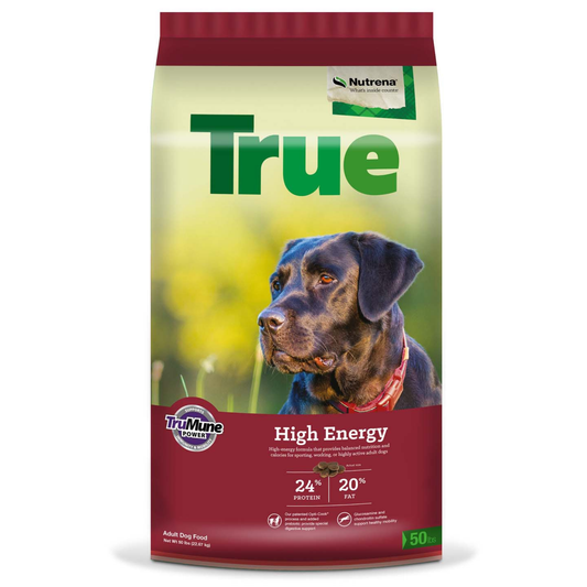 Bag of True High Energy dog food with a dog on the label